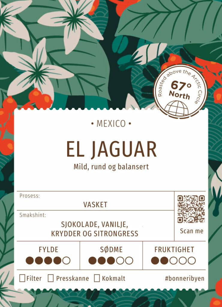El Jaguar