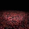 20191213_080125344_iOS-copy-min Etiopia - Yirgacheffe G2