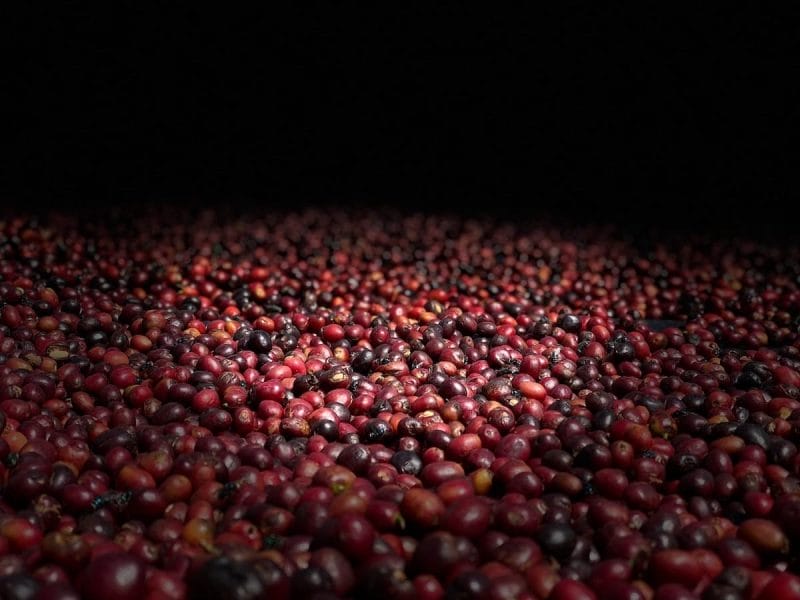 20191213_080125344_iOS-copy-min Etiopia - Yirgacheffe G2