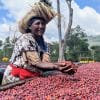 IMG_6916-min-e1590585016997 Etiopia - Yirgacheffe G2