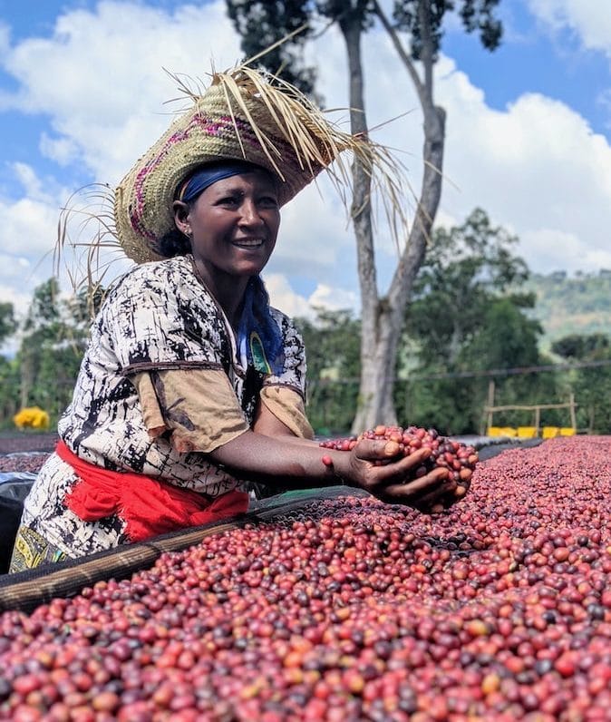 IMG_6916-min-e1590585016997 Etiopia - Yirgacheffe G2