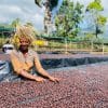 Shantawene_drying-beds-min Etiopia - Yirgacheffe G2